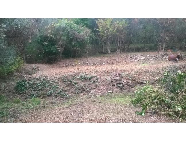 Anteprima foto 6 - Rustico/Casale in Vendita a Moneglia - Tessi