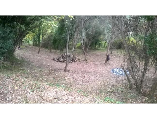 Anteprima foto 7 - Rustico/Casale in Vendita a Moneglia - Tessi