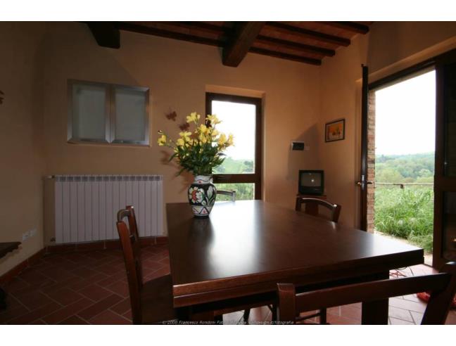 Anteprima foto 7 - Rustico/Casale in Vendita a Montaione - Alberi