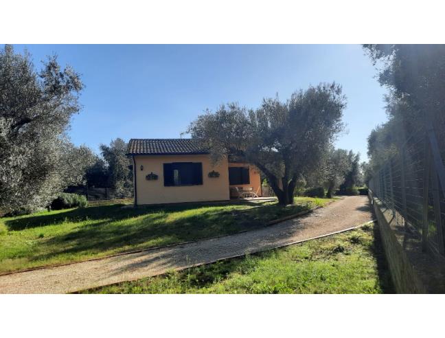 Anteprima foto 1 - Rustico/Casale in Vendita a Montalto di Castro (Viterbo)