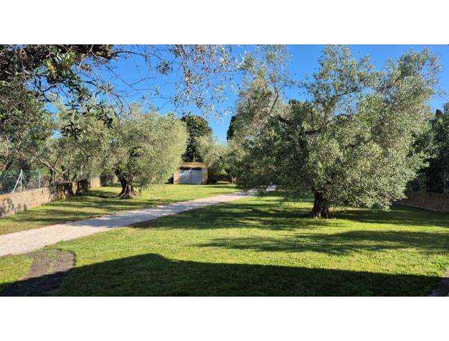 Anteprima foto 2 - Rustico/Casale in Vendita a Montalto di Castro (Viterbo)