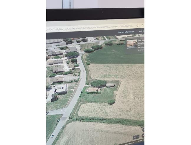 Anteprima foto 3 - Rustico/Casale in Vendita a Monte Roberto (Ancona)