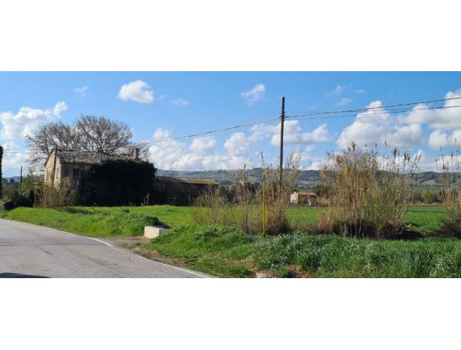 Anteprima foto 5 - Rustico/Casale in Vendita a Monte Roberto (Ancona)