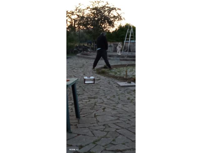 Anteprima foto 5 - Rustico/Casale in Vendita a Montefiascone (Viterbo)