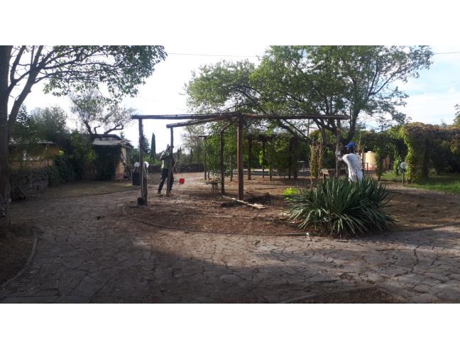 Anteprima foto 8 - Rustico/Casale in Vendita a Montefiascone (Viterbo)