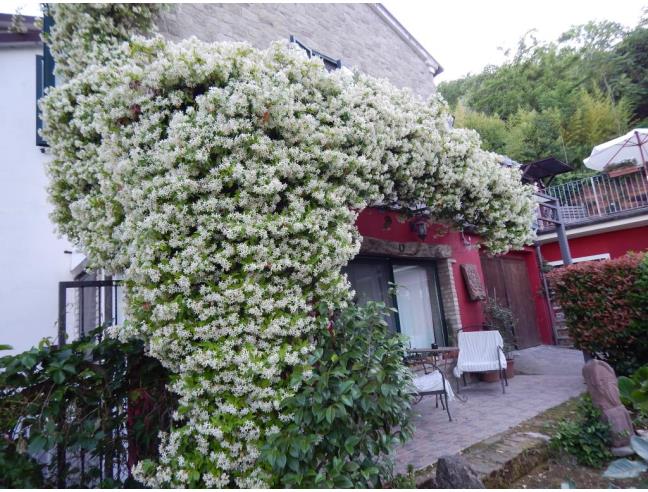 Anteprima foto 4 - Rustico/Casale in Vendita a Montefiore Conca (Rimini)