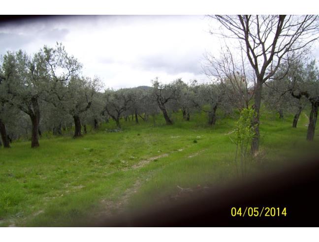 Anteprima foto 2 - Rustico/Casale in Vendita a Monteleone Sabino - Ginestra Sabina