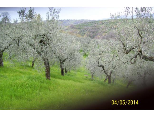 Anteprima foto 3 - Rustico/Casale in Vendita a Monteleone Sabino - Ginestra Sabina