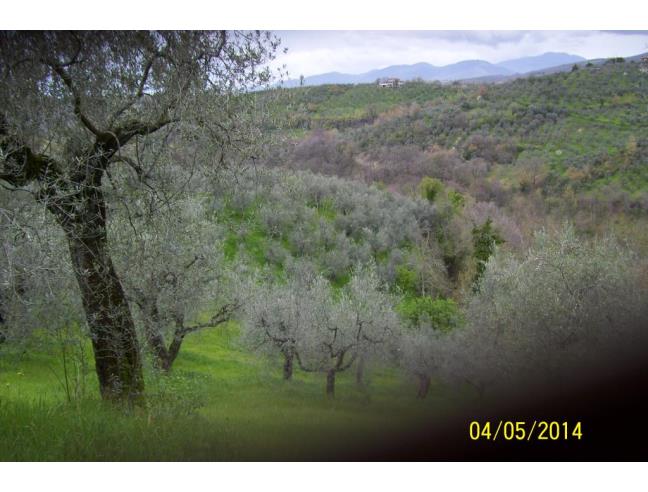 Anteprima foto 4 - Rustico/Casale in Vendita a Monteleone Sabino - Ginestra Sabina