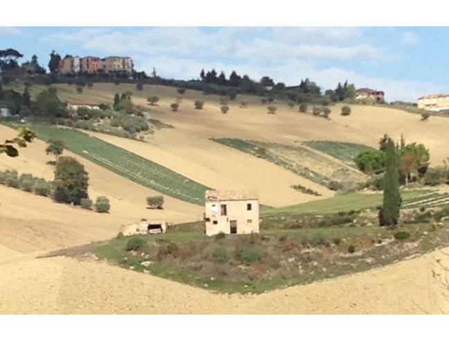 Anteprima foto 4 - Rustico/Casale in Vendita a Montelupone (Macerata)