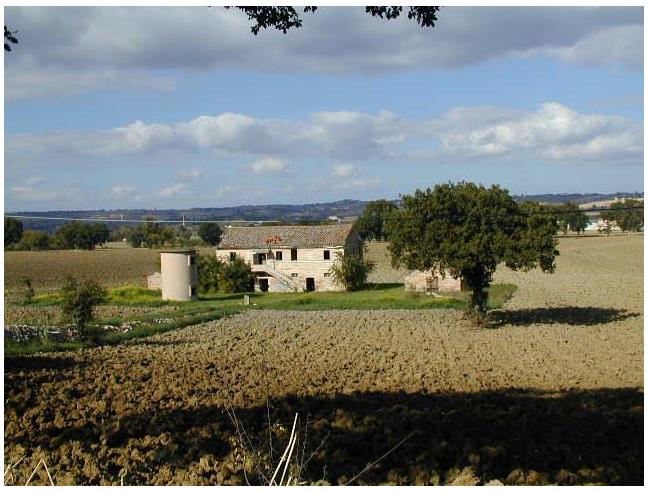 Anteprima foto 4 - Rustico/Casale in Vendita a Montelupone - San Firmano