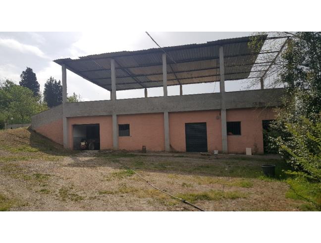 Anteprima foto 1 - Rustico/Casale in Vendita a Montespertoli - Ortimino