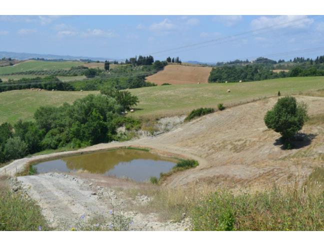 Anteprima foto 3 - Rustico/Casale in Vendita a Montespertoli - Ortimino
