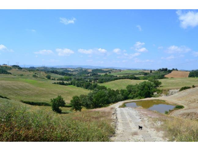 Anteprima foto 6 - Rustico/Casale in Vendita a Montespertoli - Ortimino