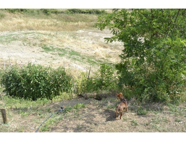 Anteprima foto 7 - Rustico/Casale in Vendita a Montespertoli - Ortimino