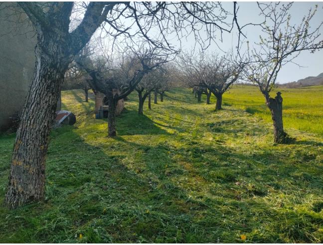 Anteprima foto 2 - Rustico/Casale in Vendita a Morfasso (Piacenza)