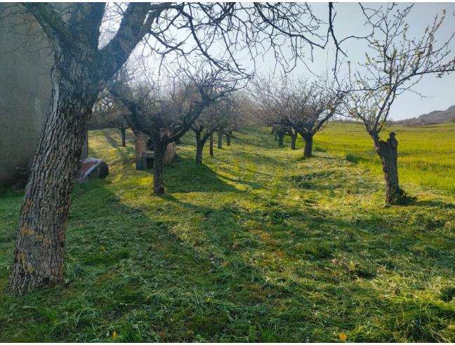 Anteprima foto 5 - Rustico/Casale in Vendita a Morfasso (Piacenza)