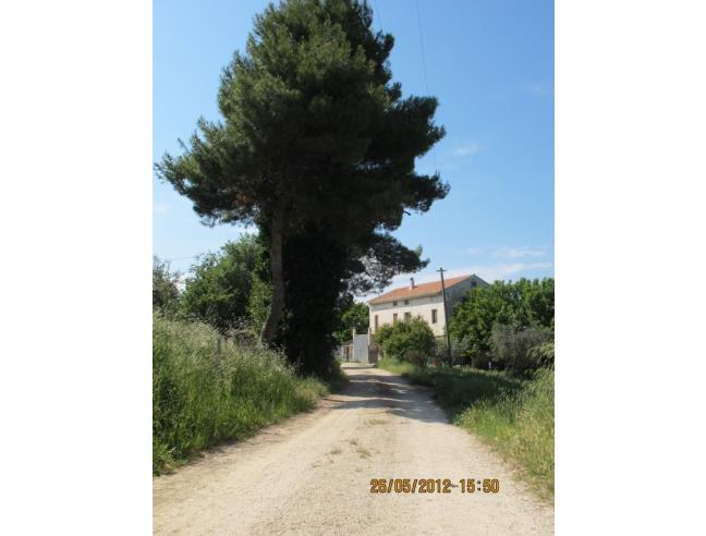 Anteprima foto 4 - Rustico/Casale in Vendita a Morrovalle (Macerata)