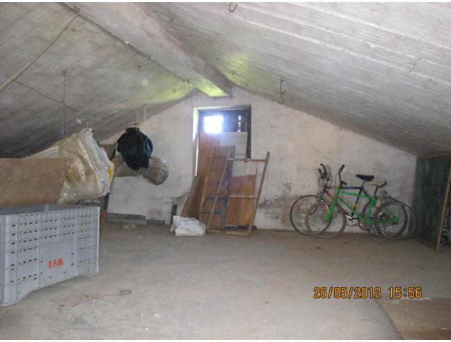 Anteprima foto 8 - Rustico/Casale in Vendita a Morrovalle (Macerata)