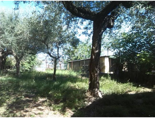 Anteprima foto 5 - Rustico/Casale in Vendita a Moscufo (Pescara)