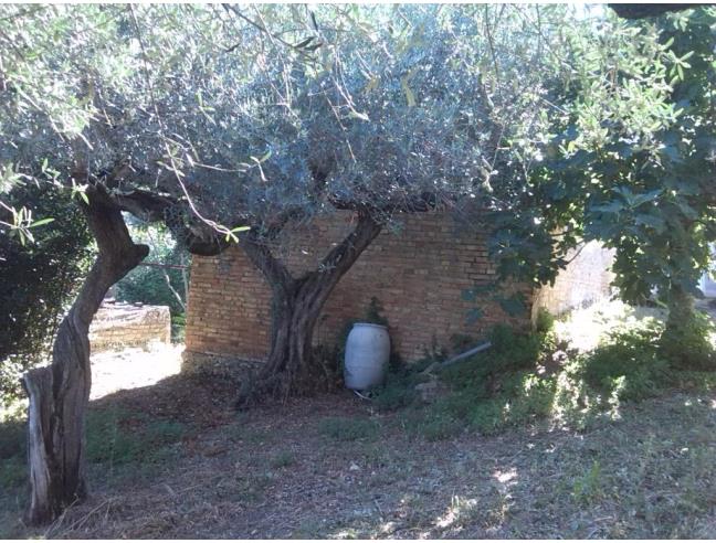 Anteprima foto 6 - Rustico/Casale in Vendita a Moscufo (Pescara)