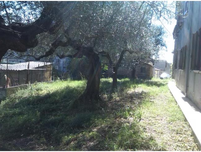 Anteprima foto 7 - Rustico/Casale in Vendita a Moscufo (Pescara)