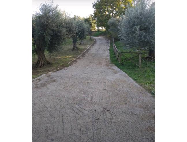 Anteprima foto 1 - Rustico/Casale in Vendita a Narni - Vigne