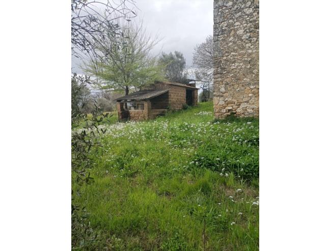 Anteprima foto 3 - Rustico/Casale in Vendita a Narni - Vigne