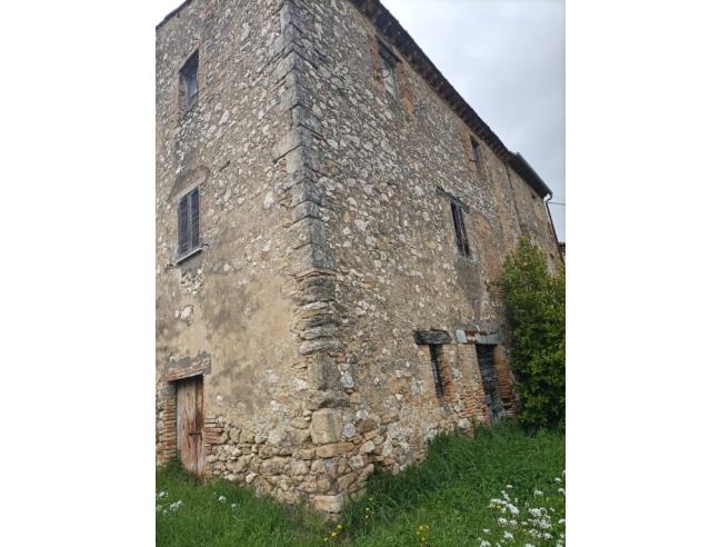 Anteprima foto 5 - Rustico/Casale in Vendita a Narni - Vigne