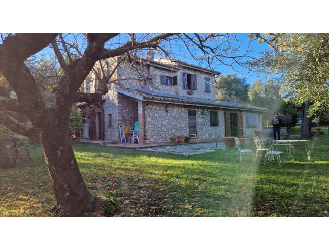 Anteprima foto 8 - Rustico/Casale in Vendita a Narni - Vigne
