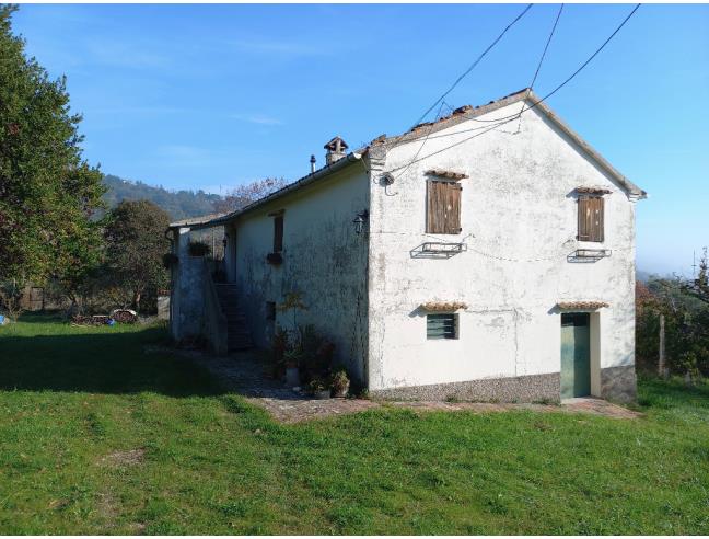 Anteprima foto 2 - Rustico/Casale in Vendita a Offagna (Ancona)