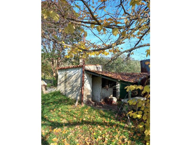 Anteprima foto 5 - Rustico/Casale in Vendita a Offagna (Ancona)