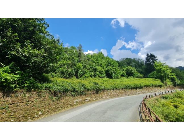 Anteprima foto 2 - Rustico/Casale in Vendita a Orero - Isolona