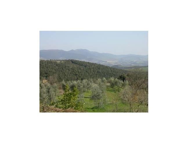 Anteprima foto 3 - Rustico/Casale in Vendita a Orvieto - Colonetto Di Prodo