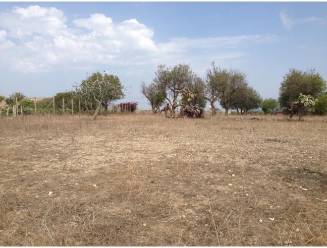 Anteprima foto 3 - Rustico/Casale in Vendita a Pachino (Siracusa)