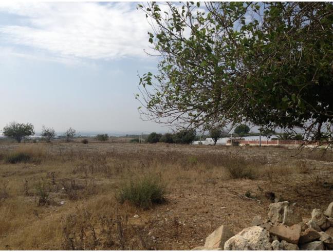 Anteprima foto 4 - Rustico/Casale in Vendita a Pachino (Siracusa)