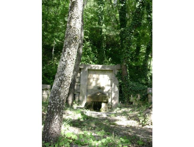 Anteprima foto 7 - Rustico/Casale in Vendita a Panni (Foggia)