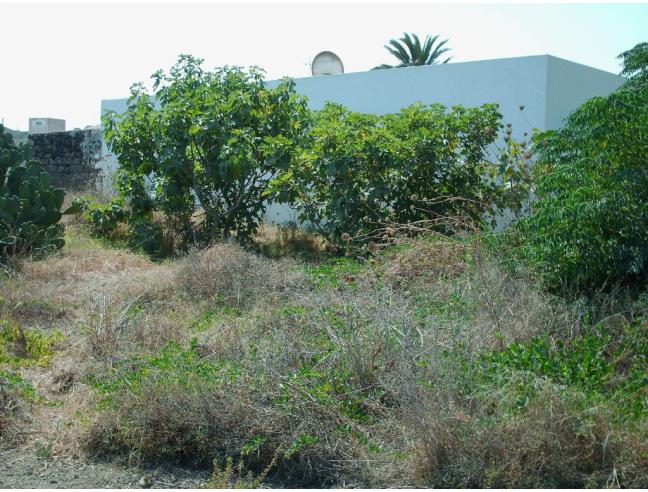 Anteprima foto 4 - Rustico/Casale in Vendita a Pantelleria - Khamma