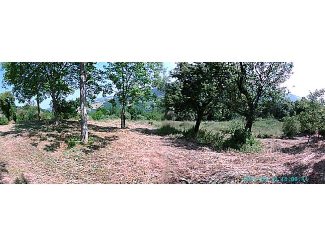 Anteprima foto 6 - Rustico/Casale in Vendita a Penna San Giovanni (Macerata)