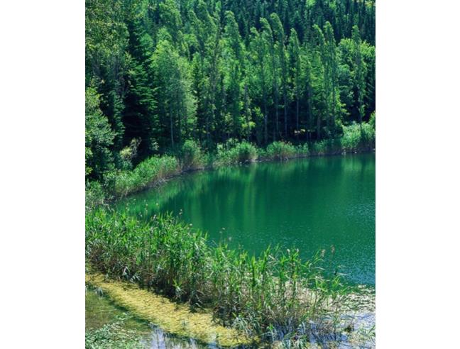 Anteprima foto 8 - Rustico/Casale in Vendita a Percile (Roma)