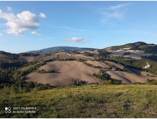 Anteprima foto 2 - Rustico/Casale in Vendita a Pergola - Località Serraspinosa