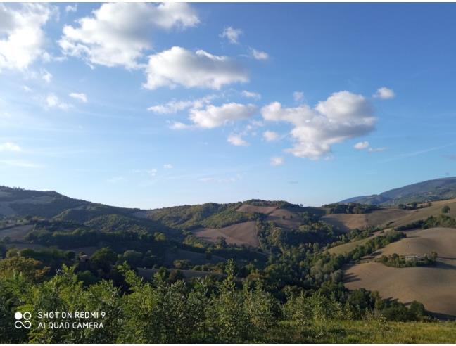 Anteprima foto 5 - Rustico/Casale in Vendita a Pergola - Località Serraspinosa