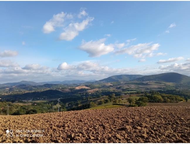 Anteprima foto 7 - Rustico/Casale in Vendita a Pergola - Località Serraspinosa