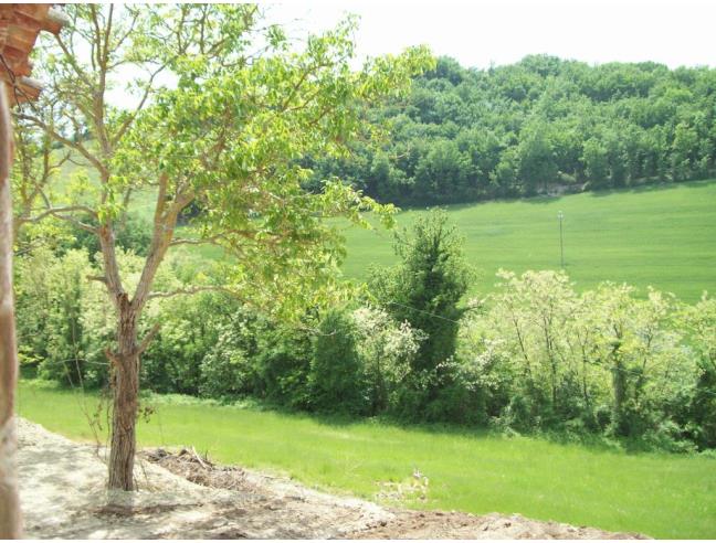 Anteprima foto 6 - Rustico/Casale in Vendita a Pergola (Pesaro e Urbino)