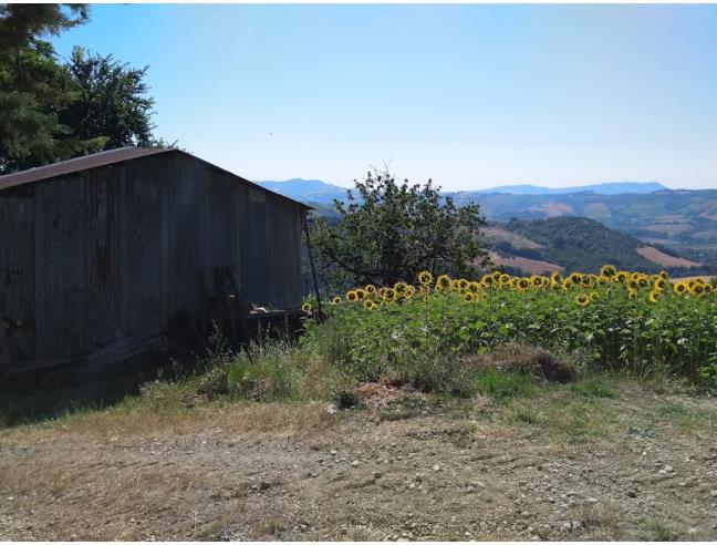 Anteprima foto 6 - Rustico/Casale in Vendita a Petritoli - Santa Liberata