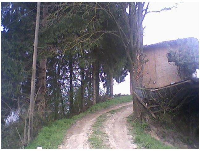 Anteprima foto 5 - Rustico/Casale in Vendita a Piea (Asti)