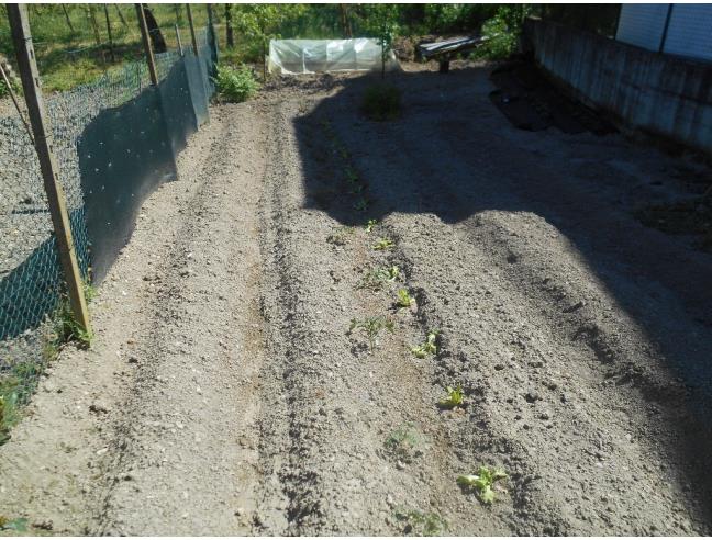 Anteprima foto 4 - Rustico/Casale in Vendita a Pietra de' Giorgi - Garivalda