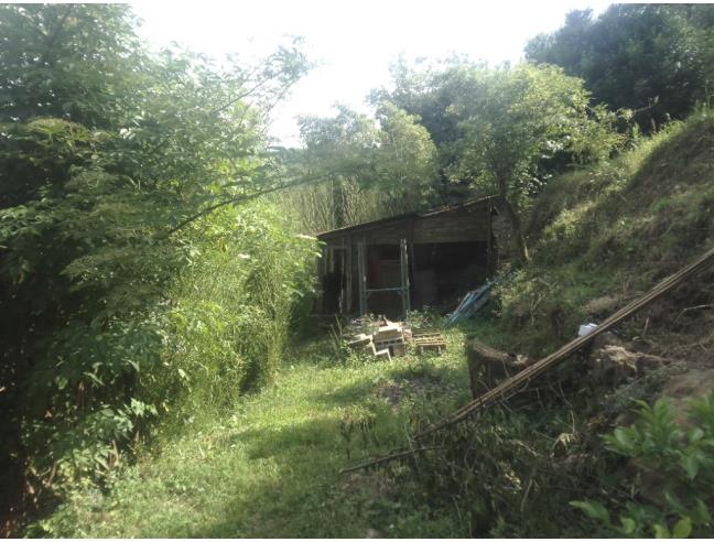 Anteprima foto 5 - Rustico/Casale in Vendita a Pistoia - Torbecchia