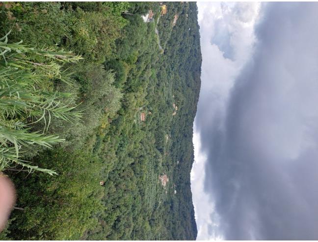Anteprima foto 2 - Rustico/Casale in Vendita a Podenzana (Massa-Carrara)