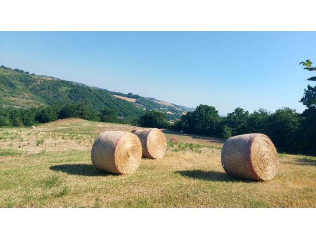 Anteprima foto 8 - Rustico/Casale in Vendita a Poggio Torriana (Rimini)